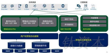 數字文化創意軟件開發 中國零售業數字化轉型的核心引擎與品類分析