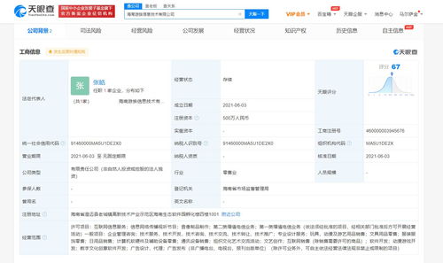 游族網(wǎng)絡(luò)海南布局，成立新公司加碼數(shù)字文化創(chuàng)意軟件開發(fā)